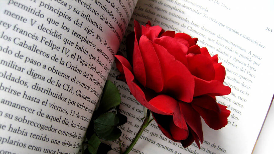 情熱　赤いバラ